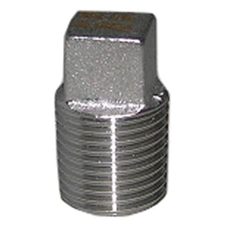 Light House Beauty 0.125 in. Stainless Steel Pipe Plug LI572648